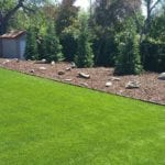 Artificial Grass backyard