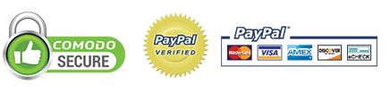 Paypal Icon