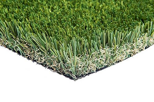 Artificial Grass