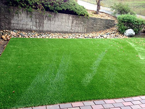 Artificial Grass backyard