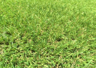 artificial grass
