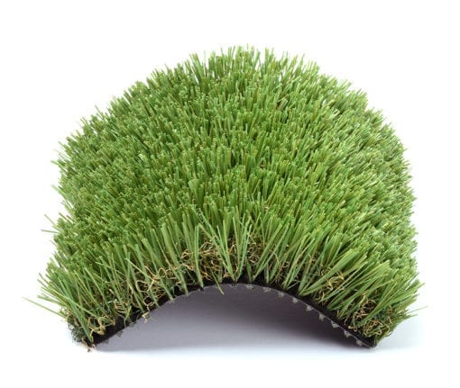 Fern Green Grass
