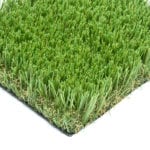 Fern Green Grass