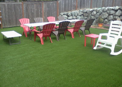 Artificial Grass in backyard
