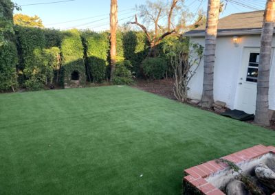 Artificial Grass in backyard