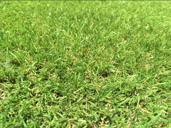 Close-up green artificial grass