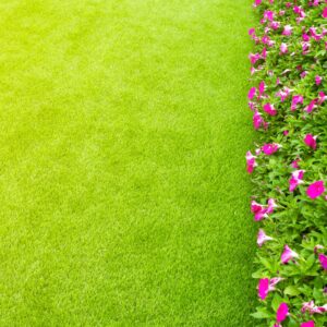 Does Artificial Grass Get Hot in Summer?