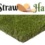 artificial grass