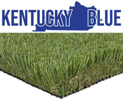 kentucky blue